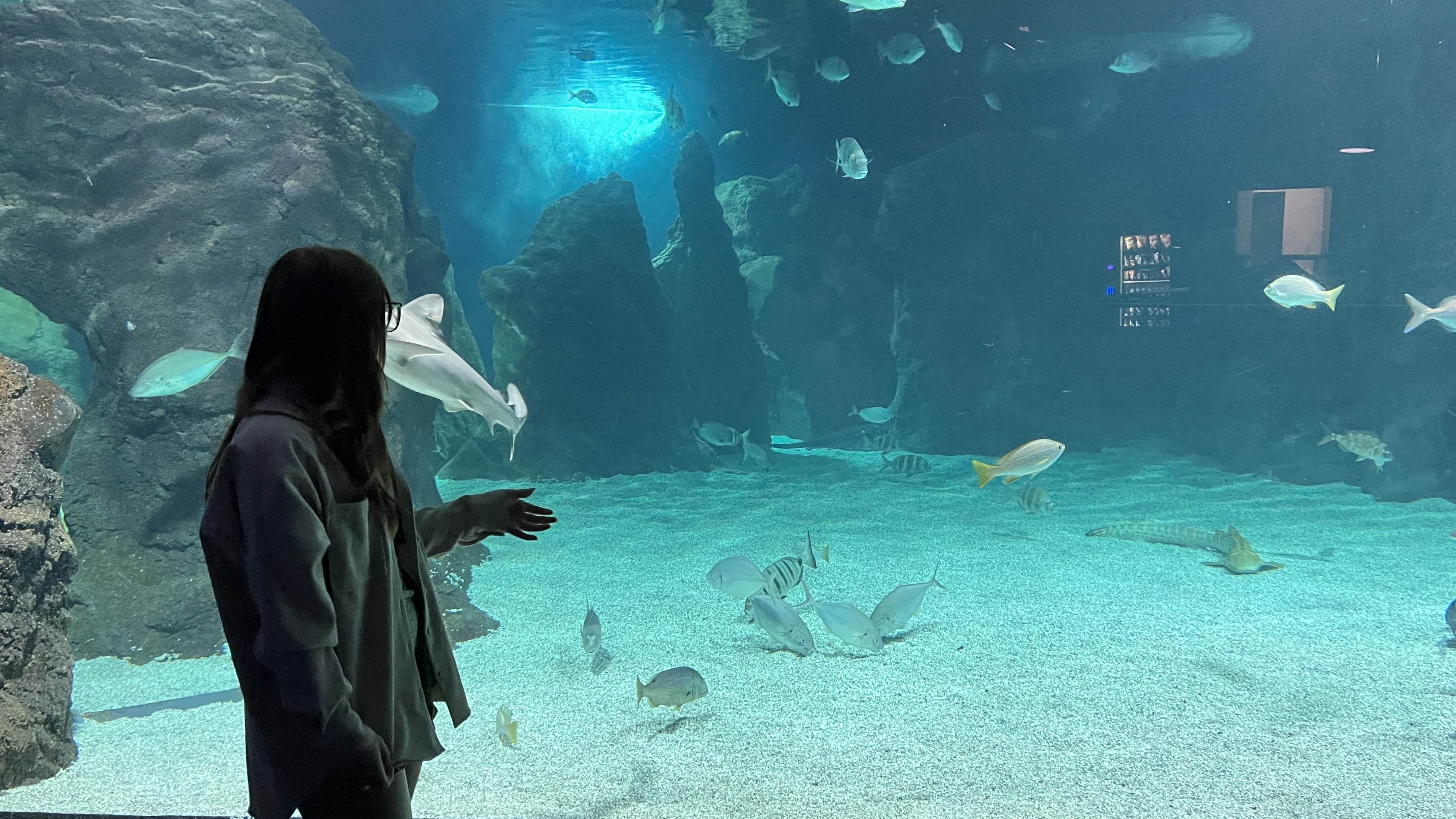 About Me Illustration